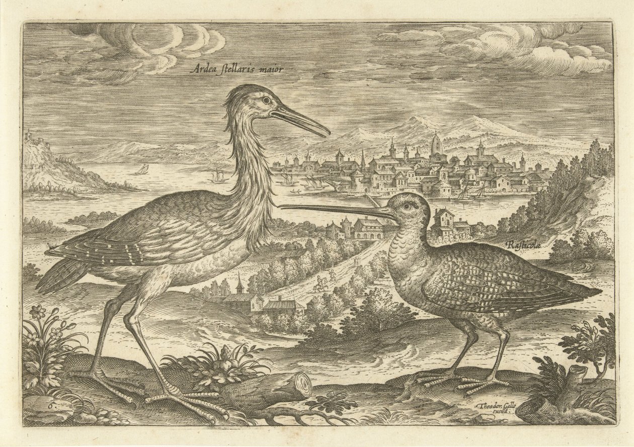 Dos pájaros en un paisaje Pájaros (título de la serie) Avium vivae (título de la serie) de Adriaen Collaert