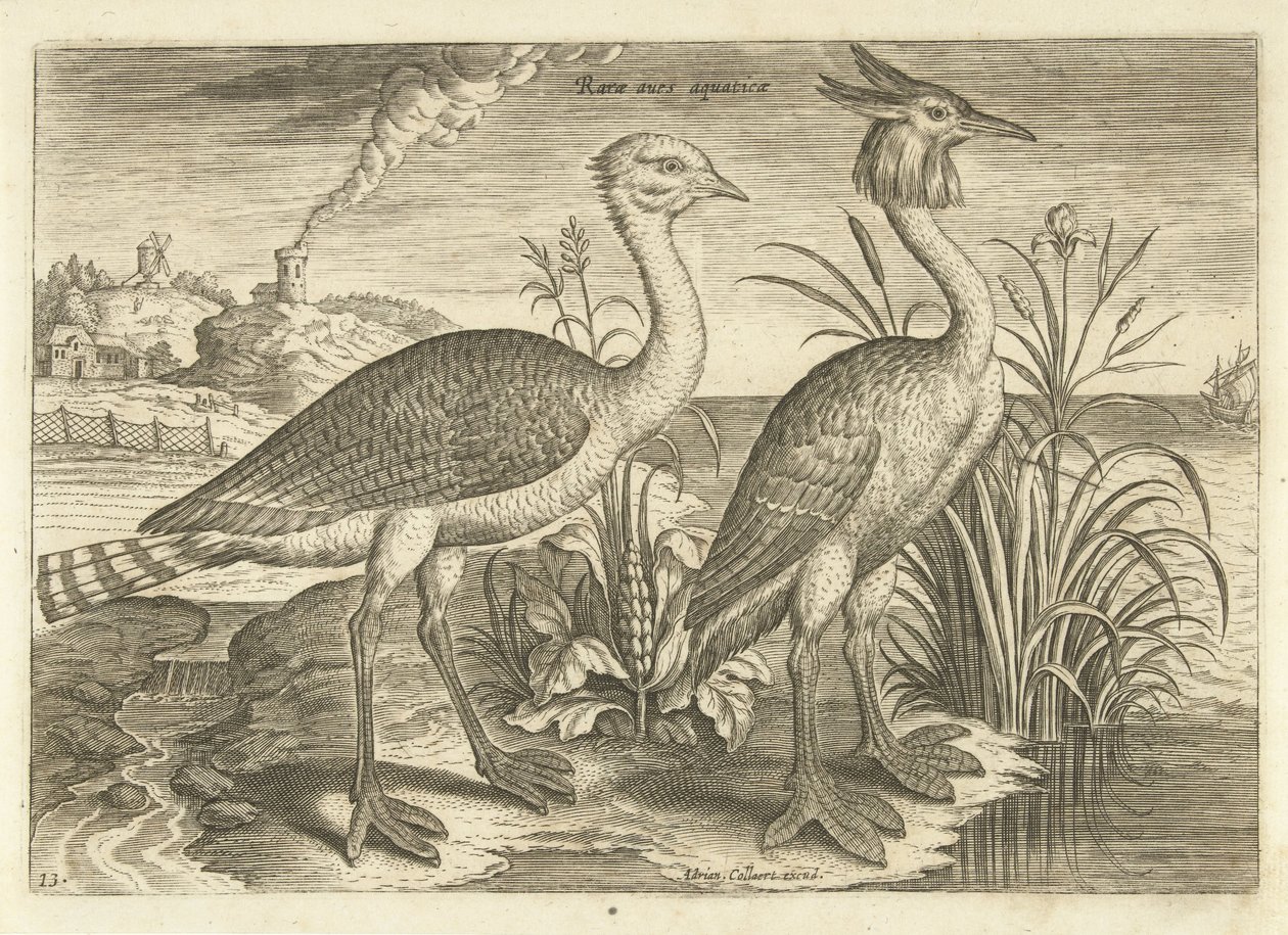 Dos aves zancudas en un paisaje Pájaros (título de la serie) Avivm vivae (título de la serie) de Adriaen Collaert