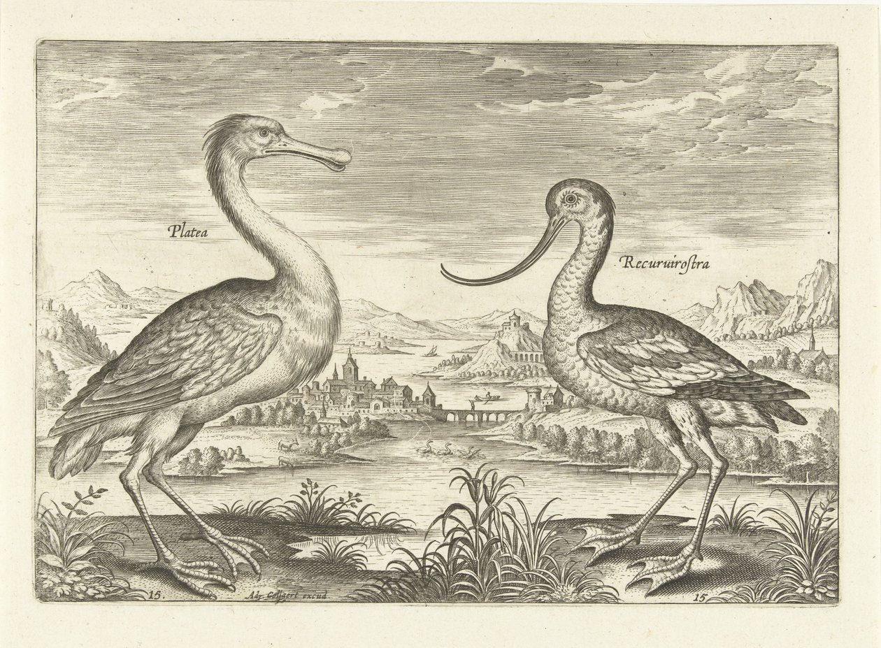 Dos aves zancudas en un paisaje fluvial Pájaros (título de la serie) Avivm Vivae (título de la serie) de Adriaen Collaert