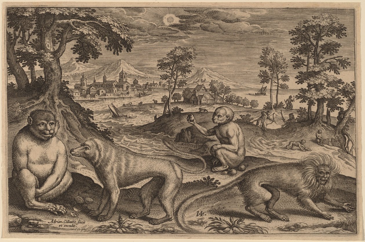 Dos Simios y Dos Monos de Adriaen Collaert