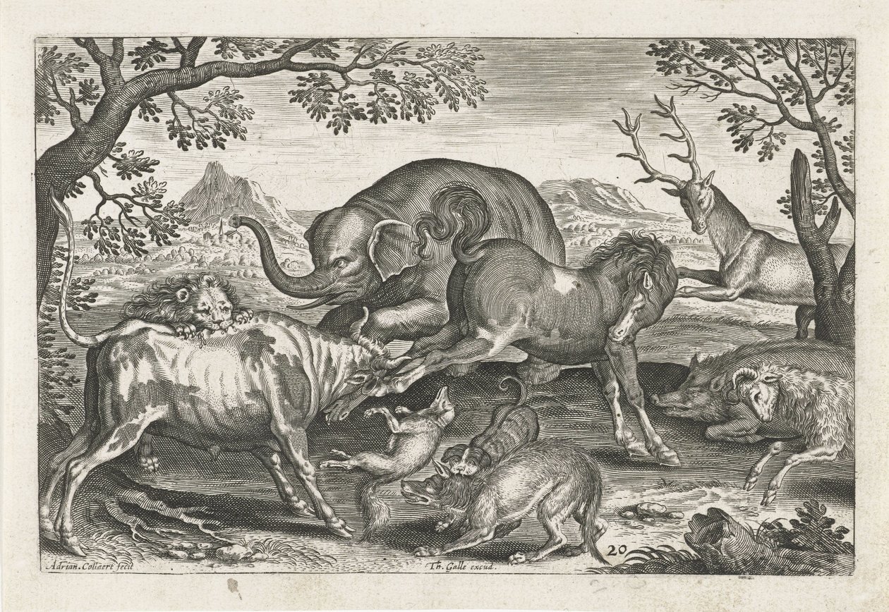 Animales de combate
Animales de cuatro patas (título de la serie)
Animalivm Qvaddrvpedvm (título de la serie) de Adriaen Collaert
