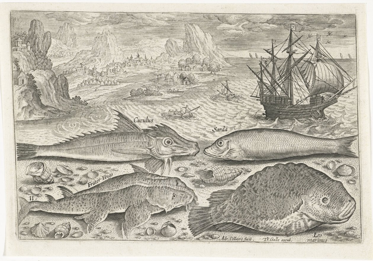 Cuatro peces en la playa Pesca (título de la serie) Iconos de Piscium vivae (título de la serie) de Adriaen Collaert