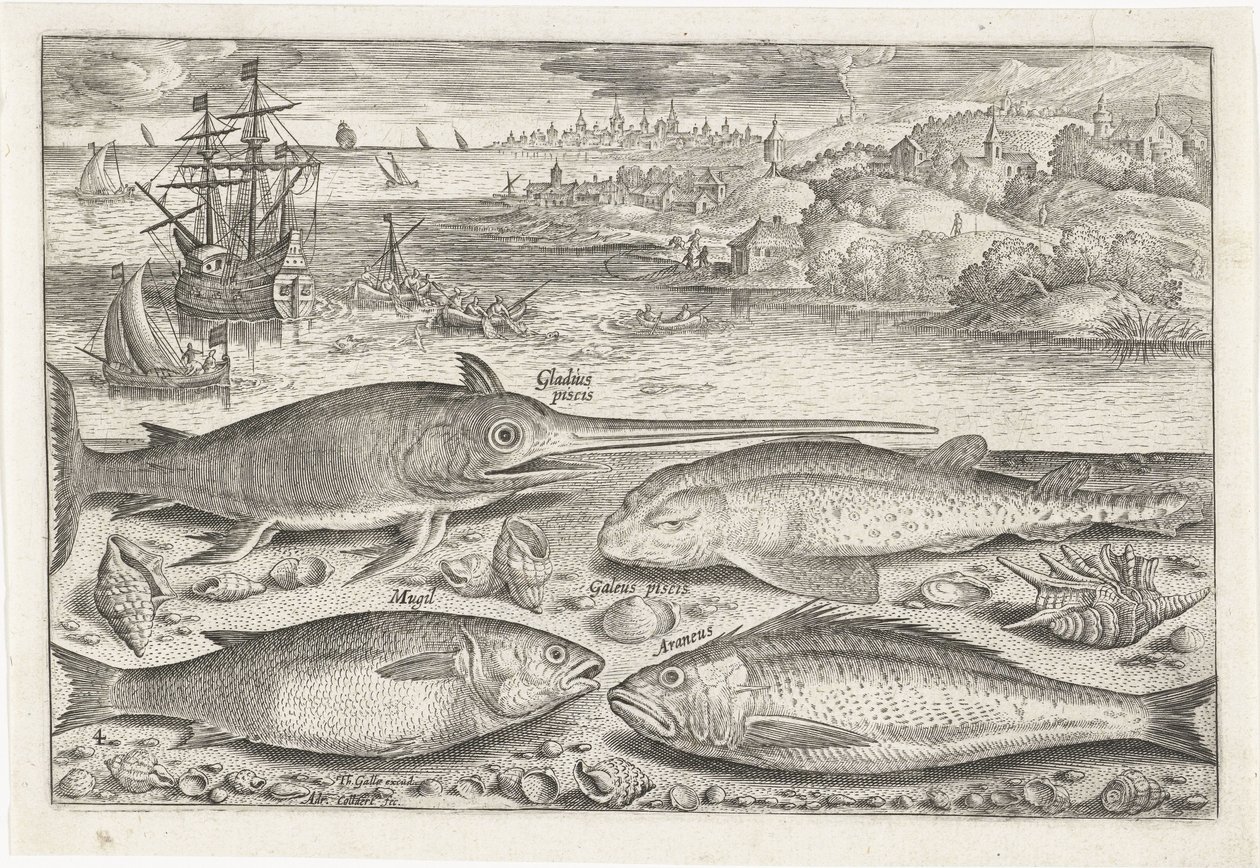 Cuatro peces en la playa Pesca (título de la serie) Iconos de Piscium vivae (título de la serie) de Adriaen Collaert