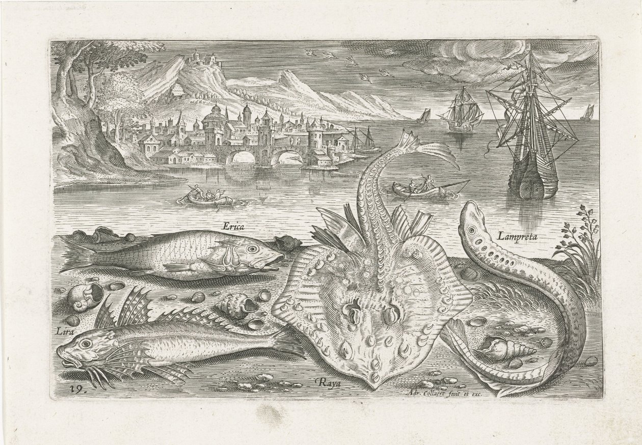 Cuatro peces en la playa Pesca (título de la serie) Iconos de Piscium vivae (título de la serie) de Adriaen Collaert