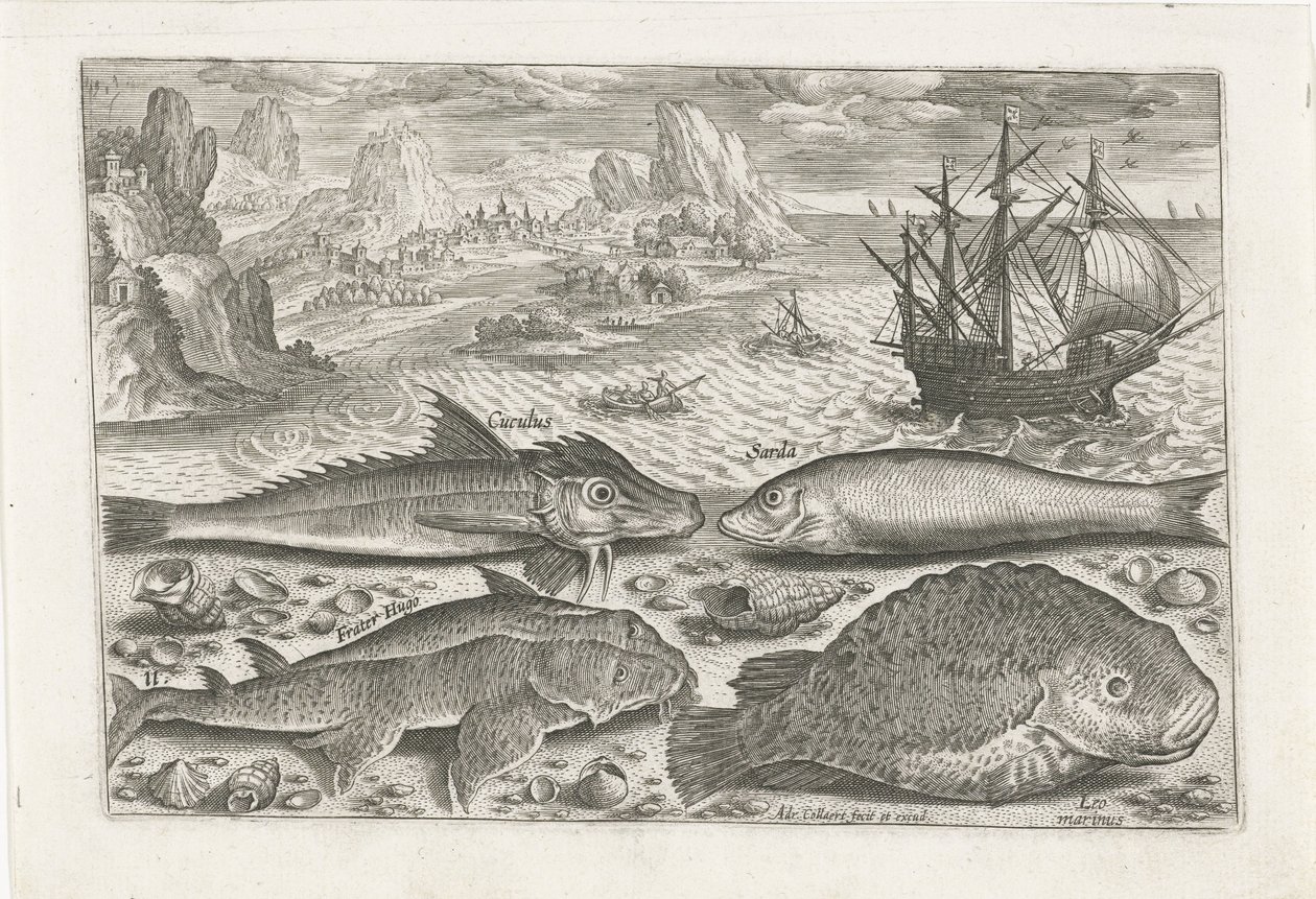 Cuatro peces en la playa Pesca (título de la serie) Iconos de Piscium vivae (título de la serie) de Adriaen Collaert