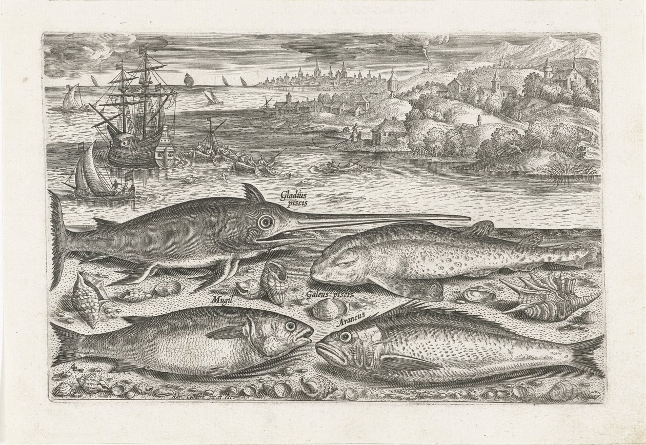 Cuatro peces en la playa Pesca (título de la serie) Iconos de Piscium vivae (título de la serie) de Adriaen Collaert