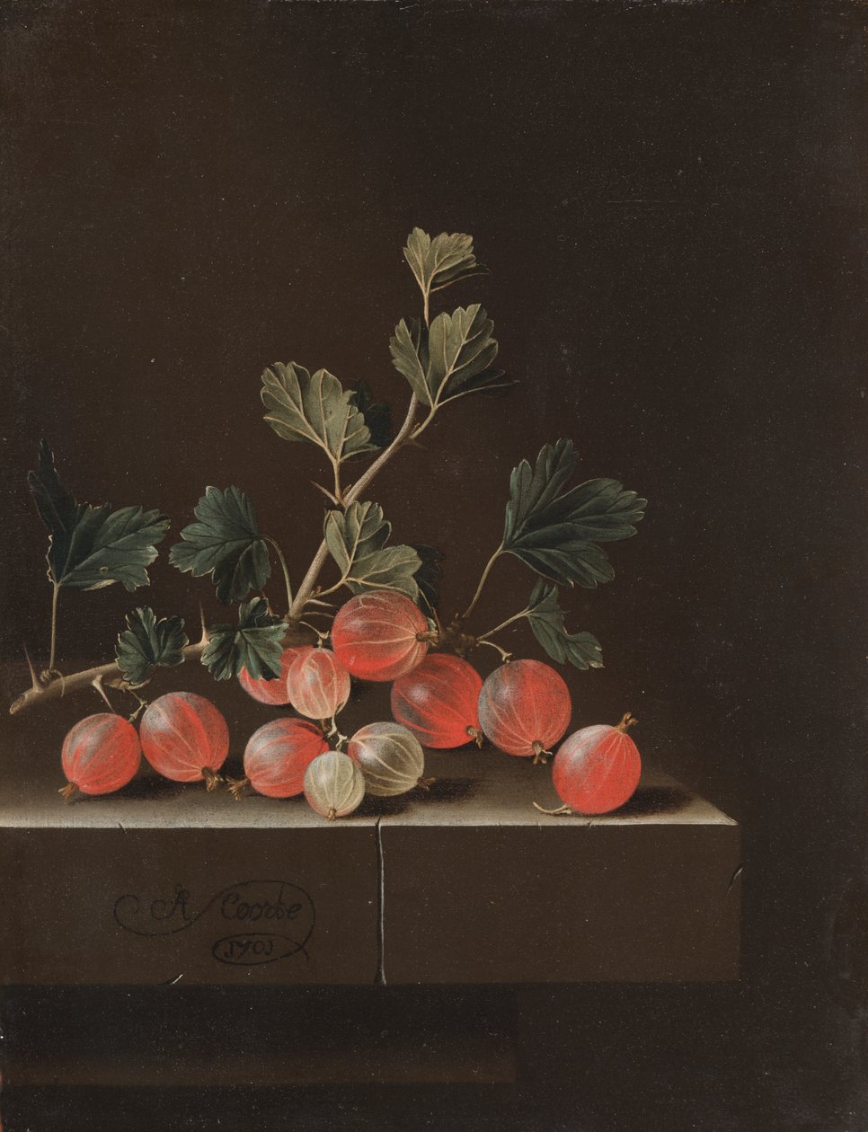 Gooseberries on a Table de Adrian Coorte