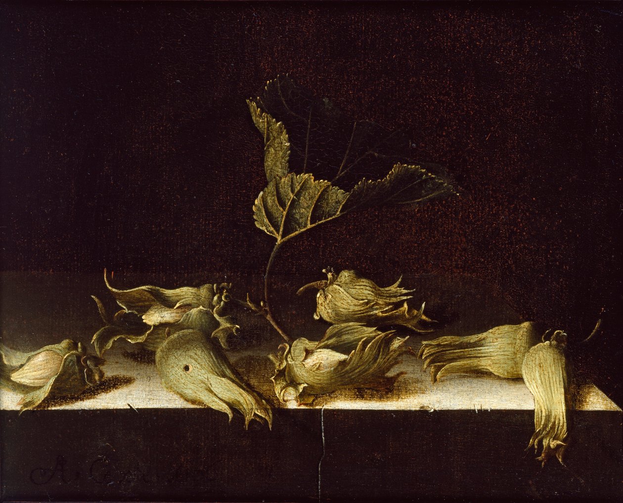 Naturaleza muerta con avellanas, 1696 de Adrian Coorte