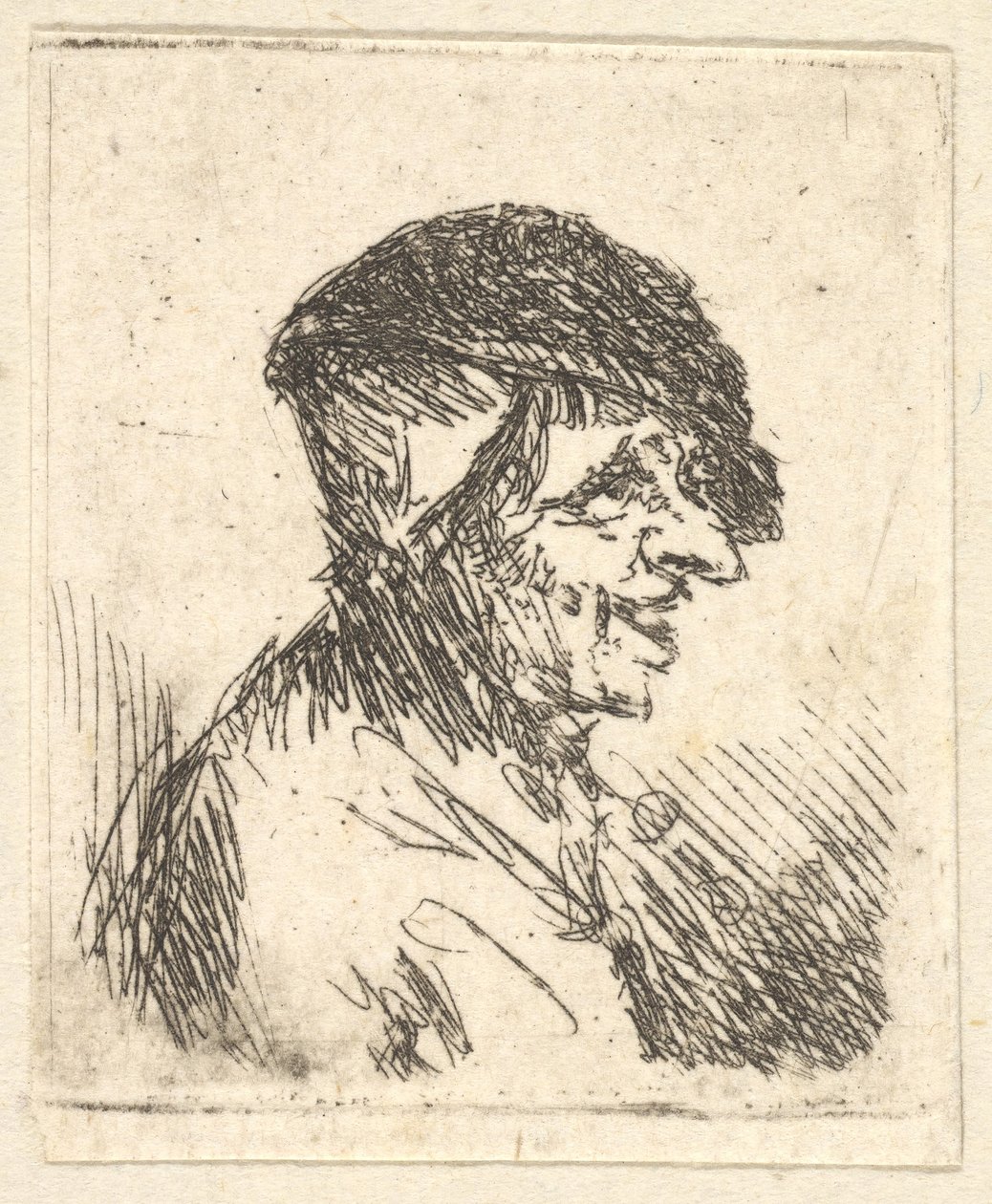 Cabeza de campesino, siglo XVII de Adriaen Jansz. van Ostade