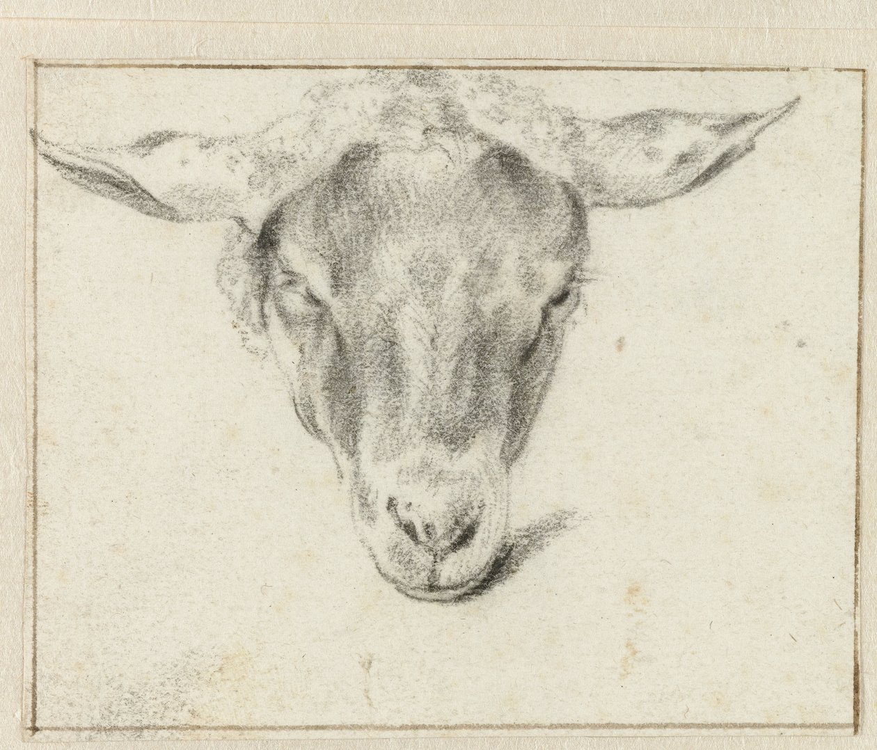 Cabeza de oveja, de frente de Adriaen van de Velde (attributed to)