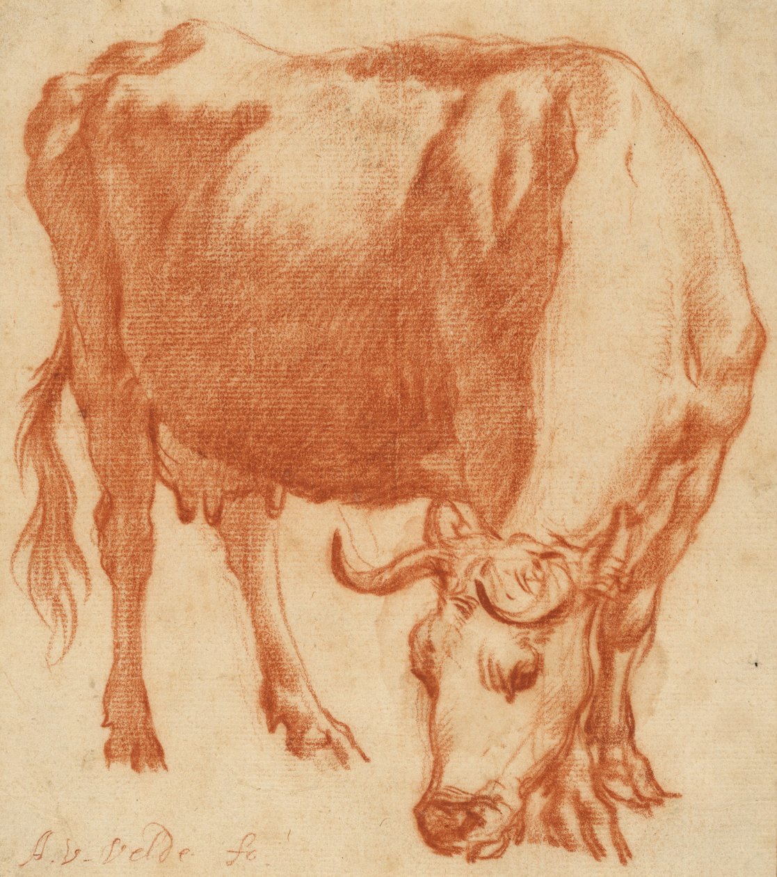 Eine Kuh beim Grasen de Adriaen van de Velde