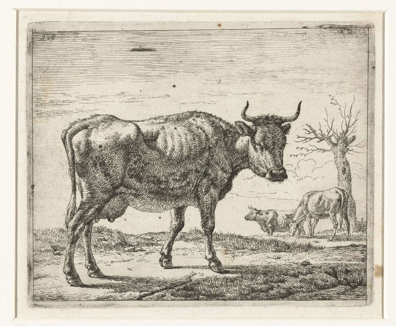 tres vacas Diferentes animales (título de la serie) de Adriaen van de Velde