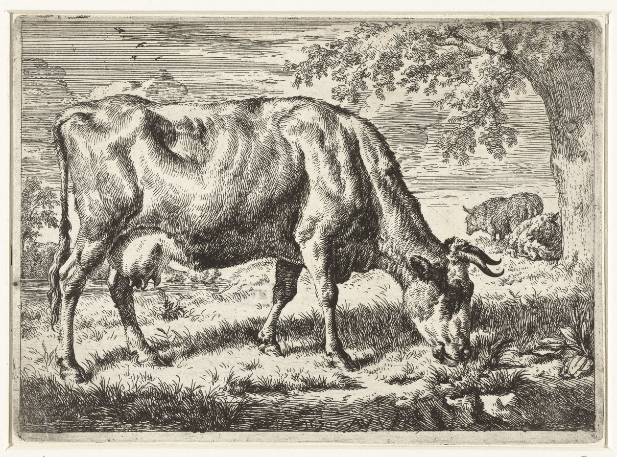 Vaca pastando y dos ovejas Vacas y ovejas (título de la serie) de Adriaen van de Velde