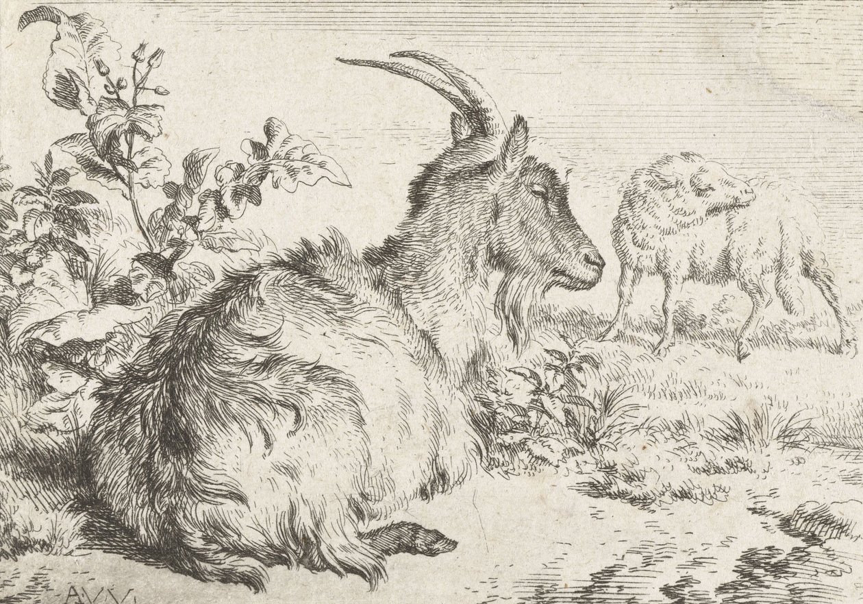 Cabra acostada, 1670 de Adriaen van de Velde