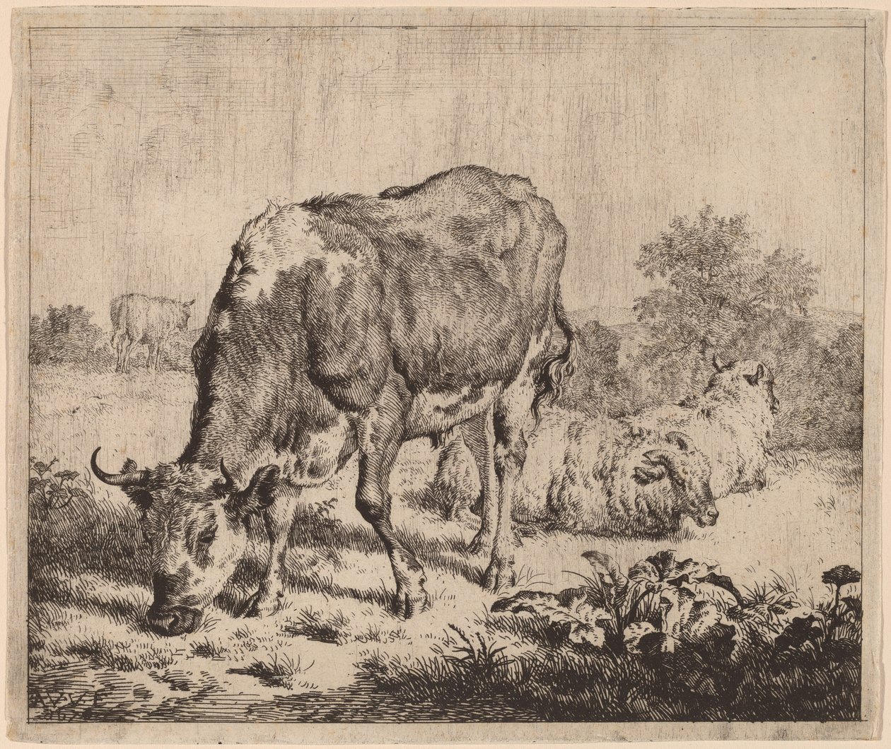 Toro manchado y tres ovejas de Adriaen van de Velde