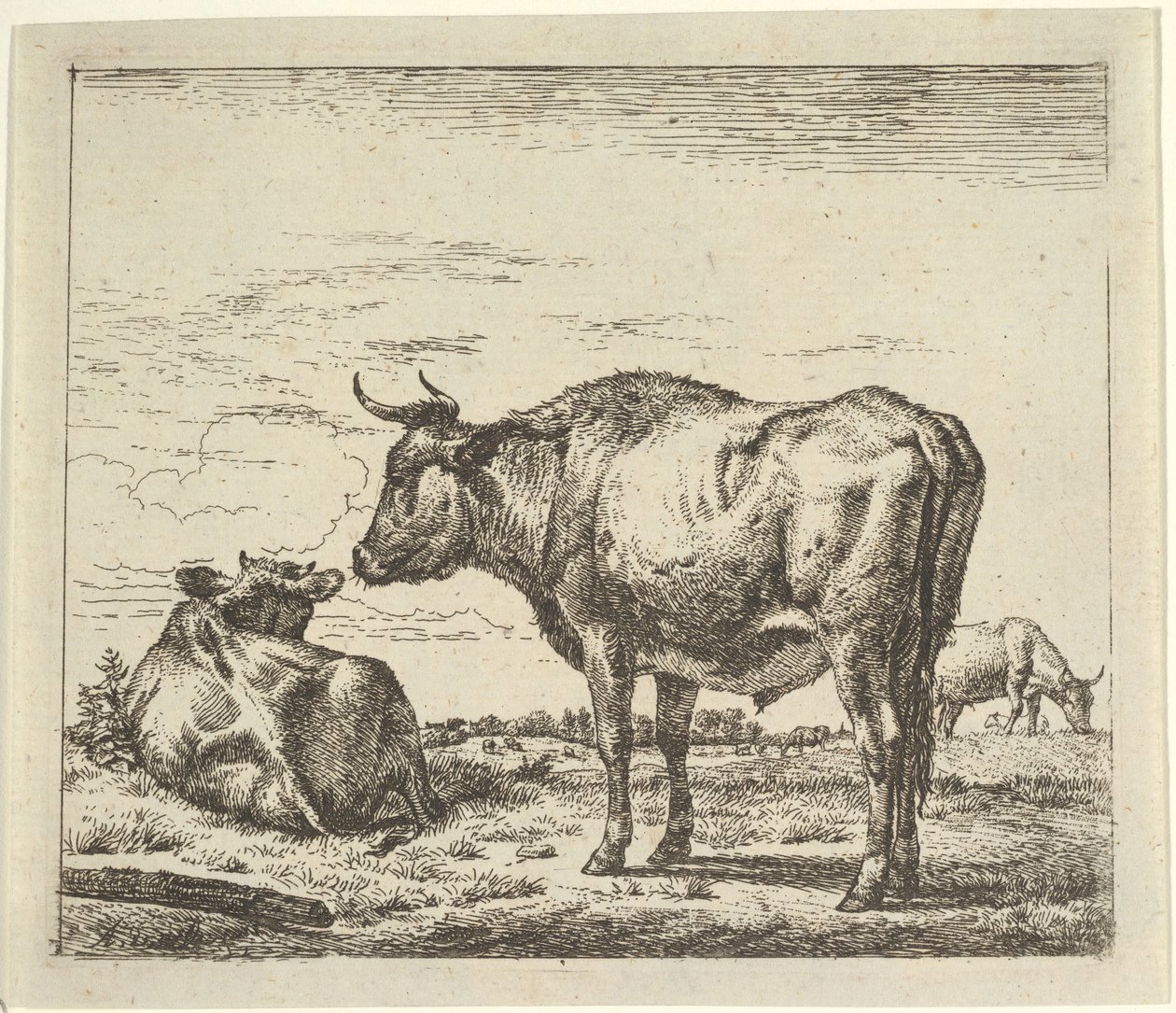 Toro de pie, de Diferentes Animales de Adriaen van de Velde