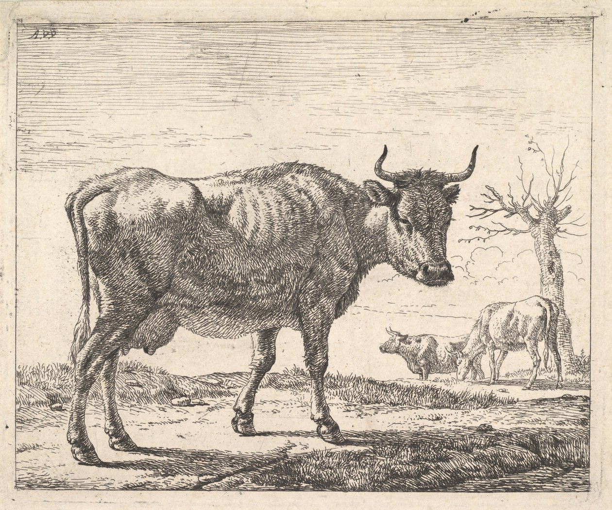 Tres vacas de Adriaen van de Velde