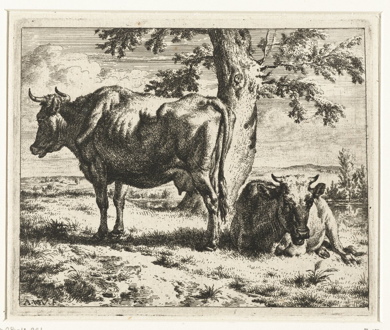 Dos vacas debajo de un árbol Vacas y ovejas (título de la serie) de Adriaen van de Velde