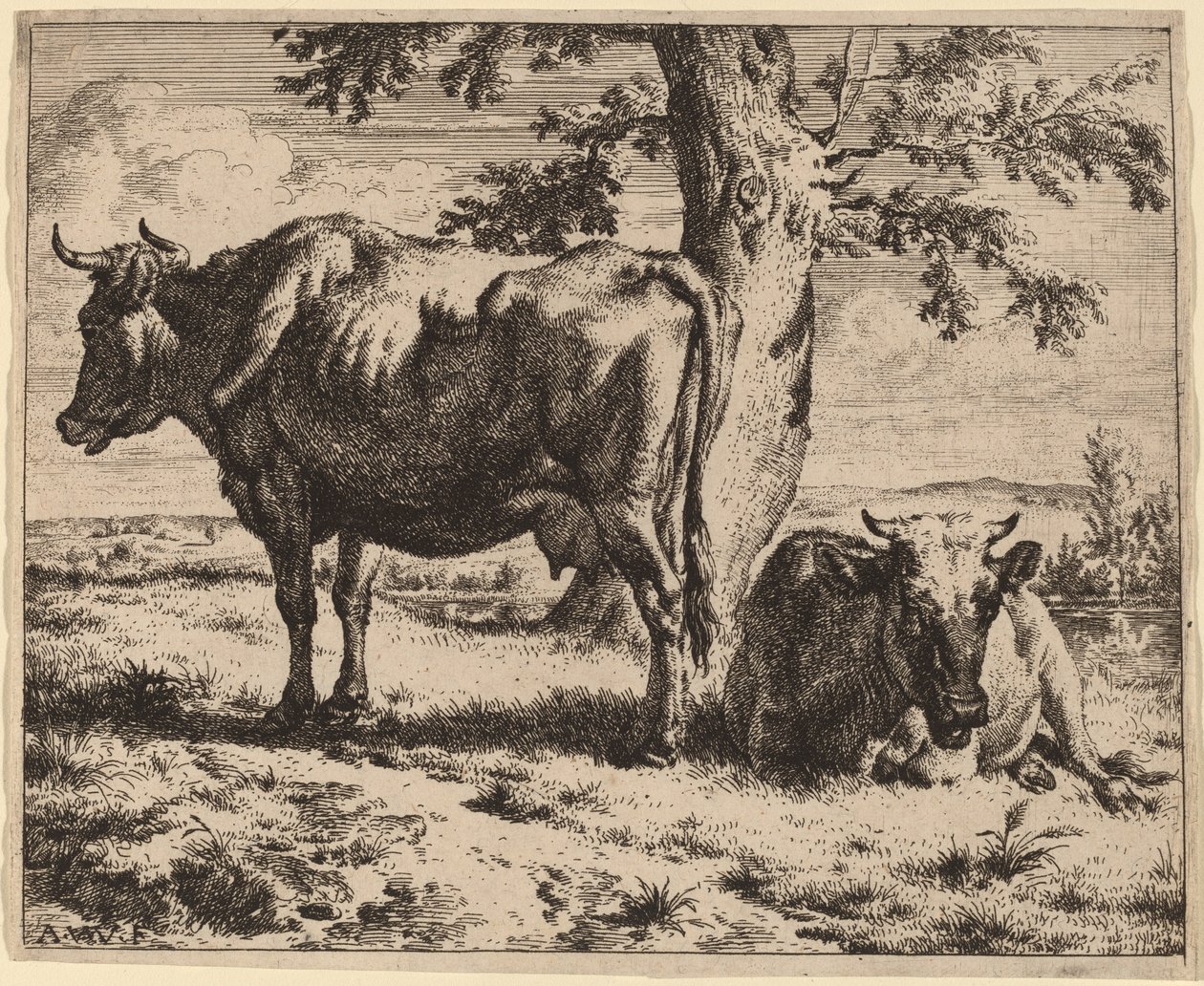 Dos vacas bajo un árbol de Adriaen van de Velde
