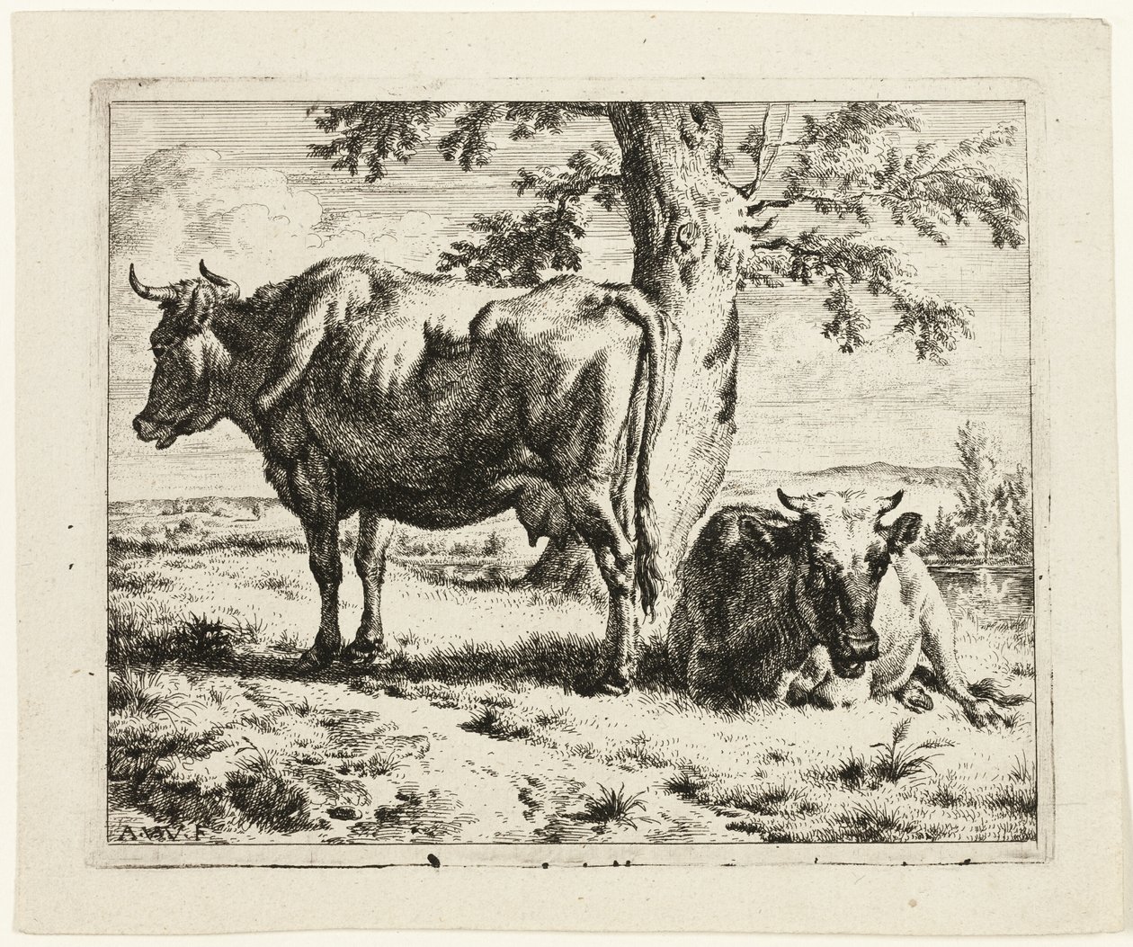 Dos Vacas bajo un Árbol de Adriaen van de Velde