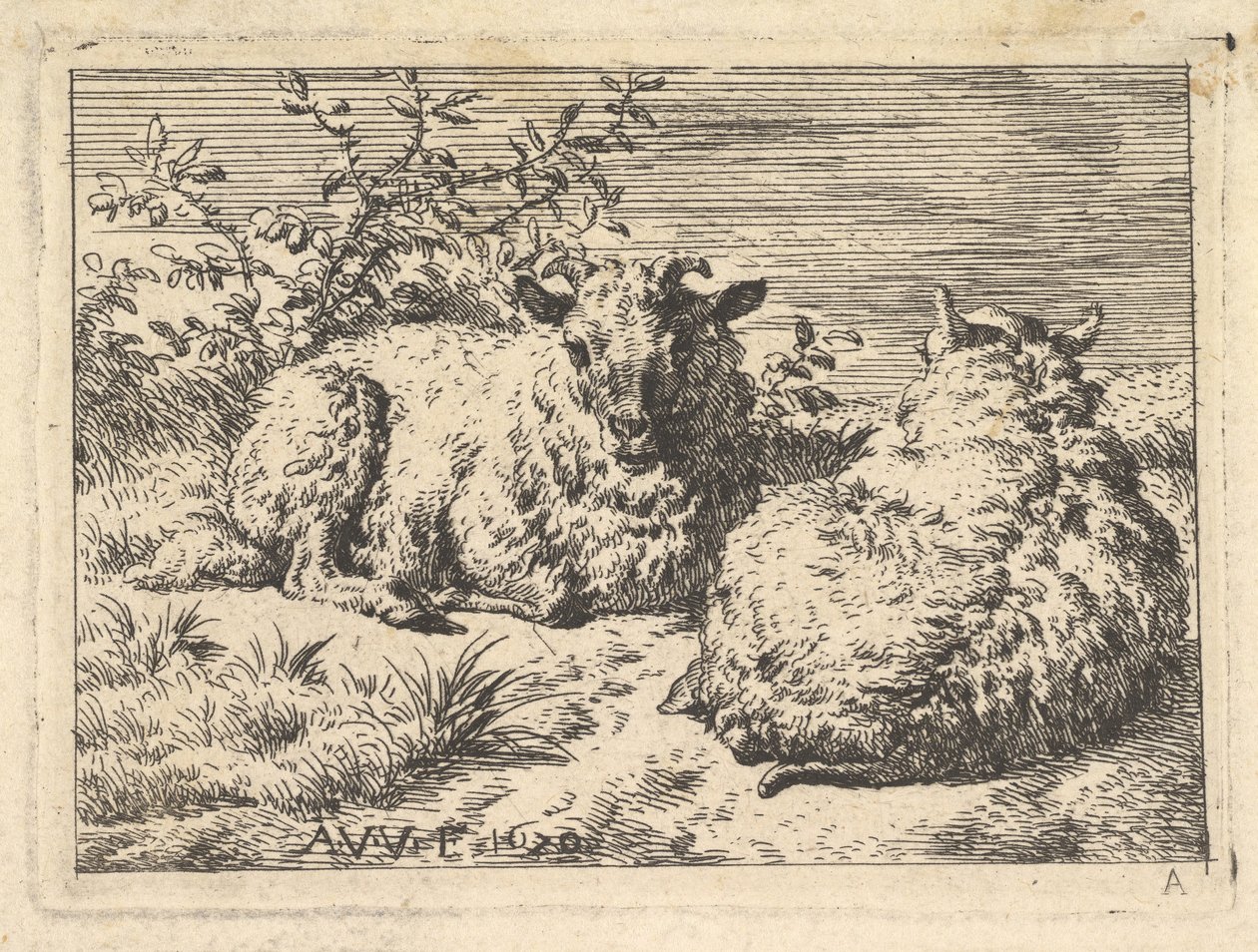 Dos ovejas recostadas, 1670 de Adriaen van de Velde