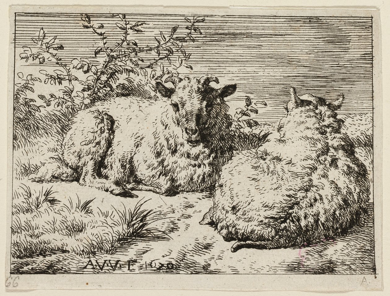 Dos ovejas de Adriaen van de Velde