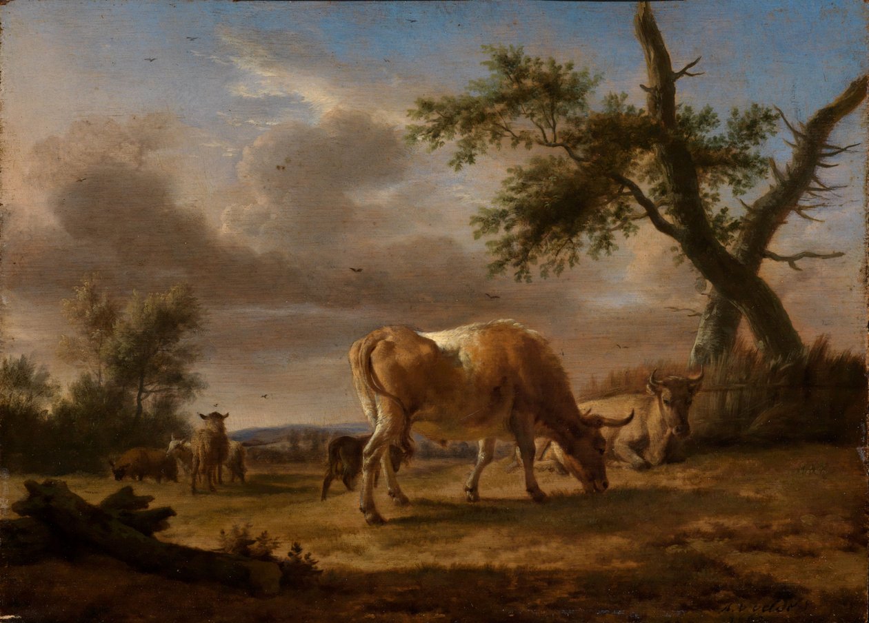 Ganado vacuno y ovejas pastando de Adriaen van de Velde