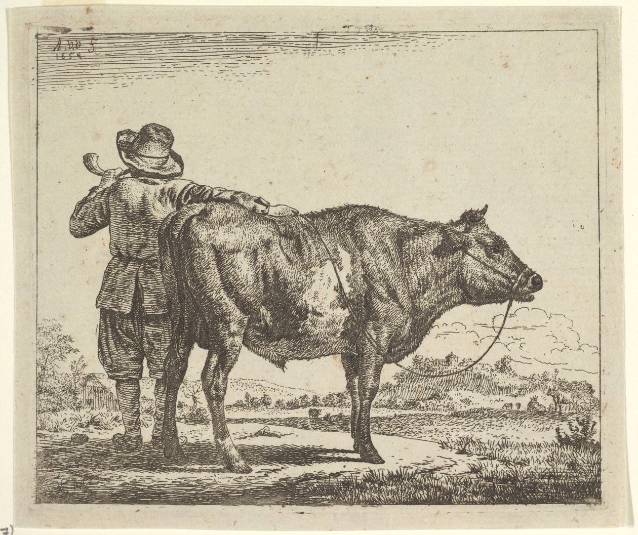 Joven pastor con un toro, de Diferentes animales, 1659 de Adriaen van de Velde