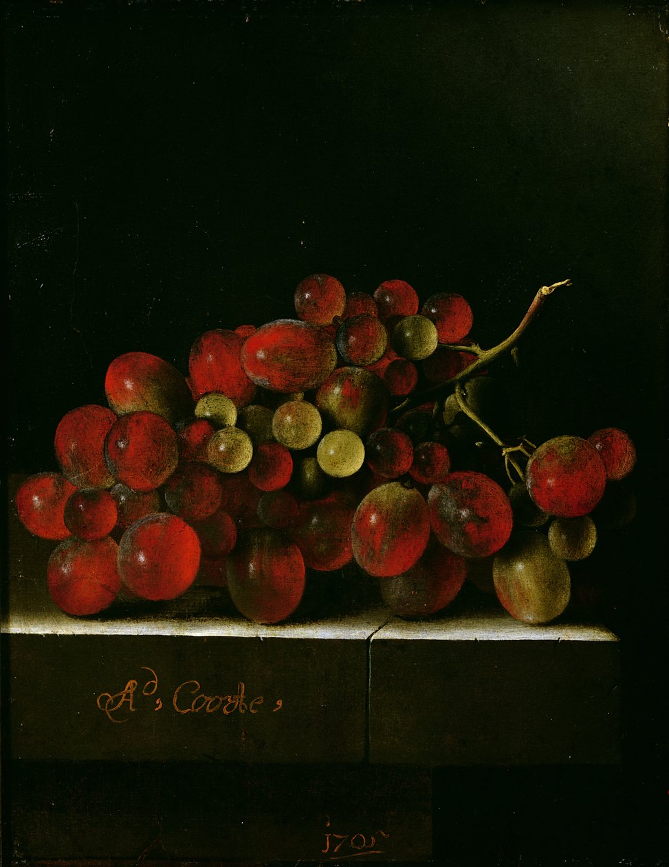 Racimo de Uvas, 1705 de Adrian Coorte