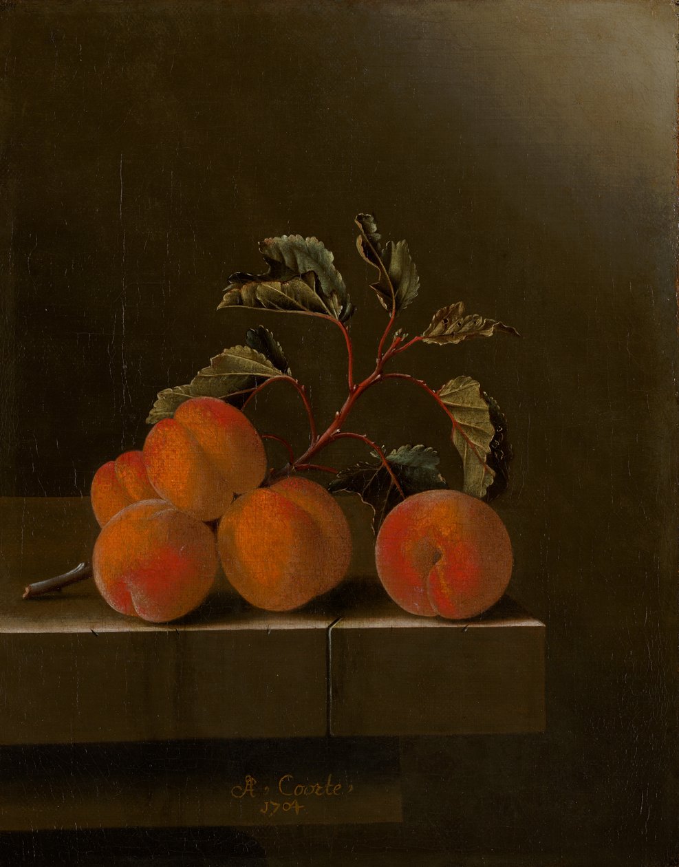 Naturaleza muerta con cinco albaricoques, 1704 de Adrian Coorte