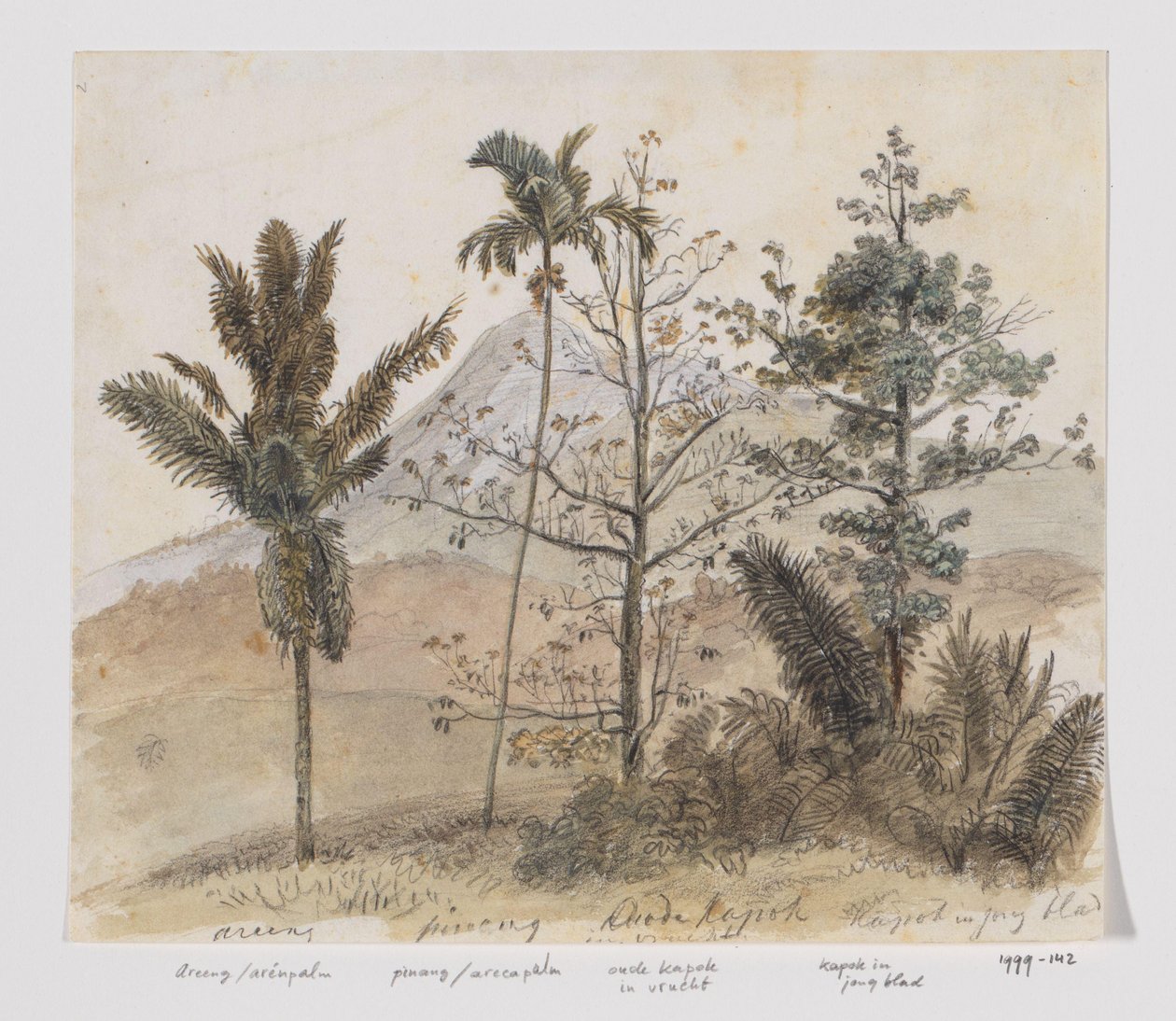Árboles en el paisaje de montaña Java de Adrianus Johannes Bik