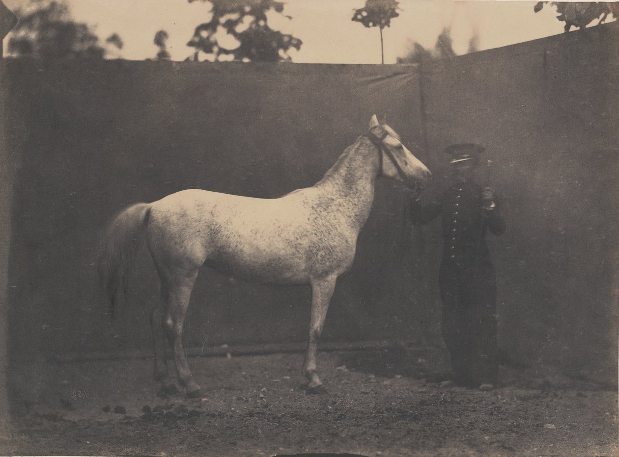 Pascaline de Adrien Alban Tournachon