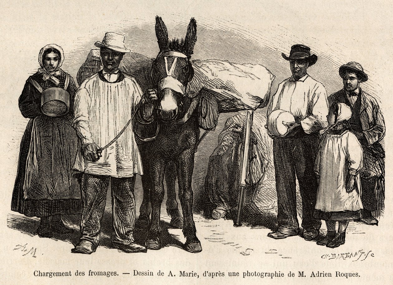 La carga de quesos en la espalda de una mula, hacia las bodegas de Roquefort, ilustración de un viaje a Roquefort y sus alrededores, por Adrien Roques y Jules Charton, en 1874, publicado en “Le tour du monde” 1875, editado por Edouard Charton de Adrien Emmanuel Marie