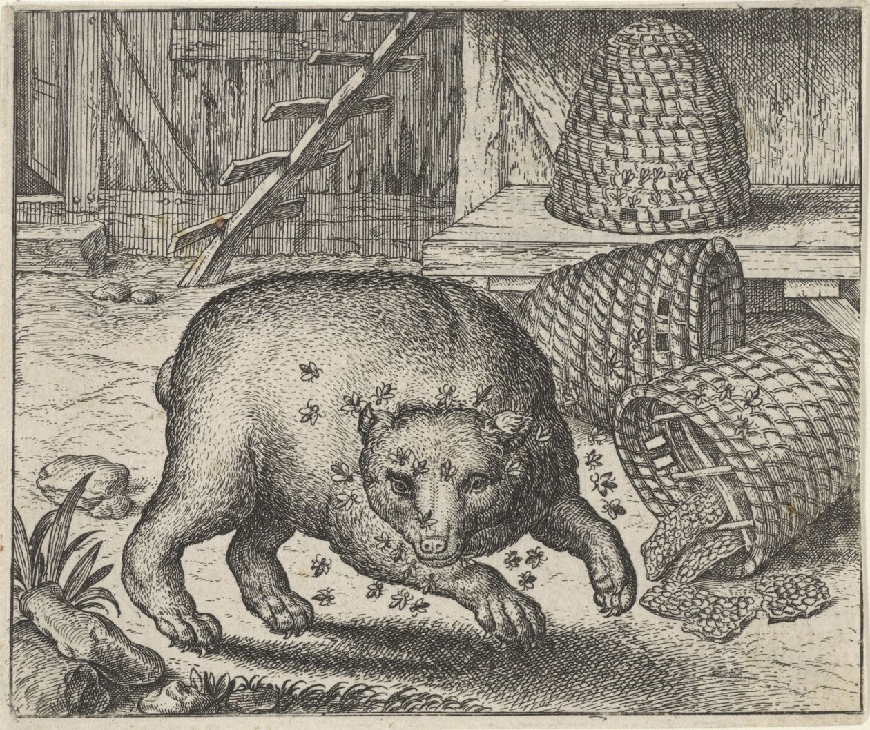 Fábula del oso y las abejas de Egidius  Sadeler (II)