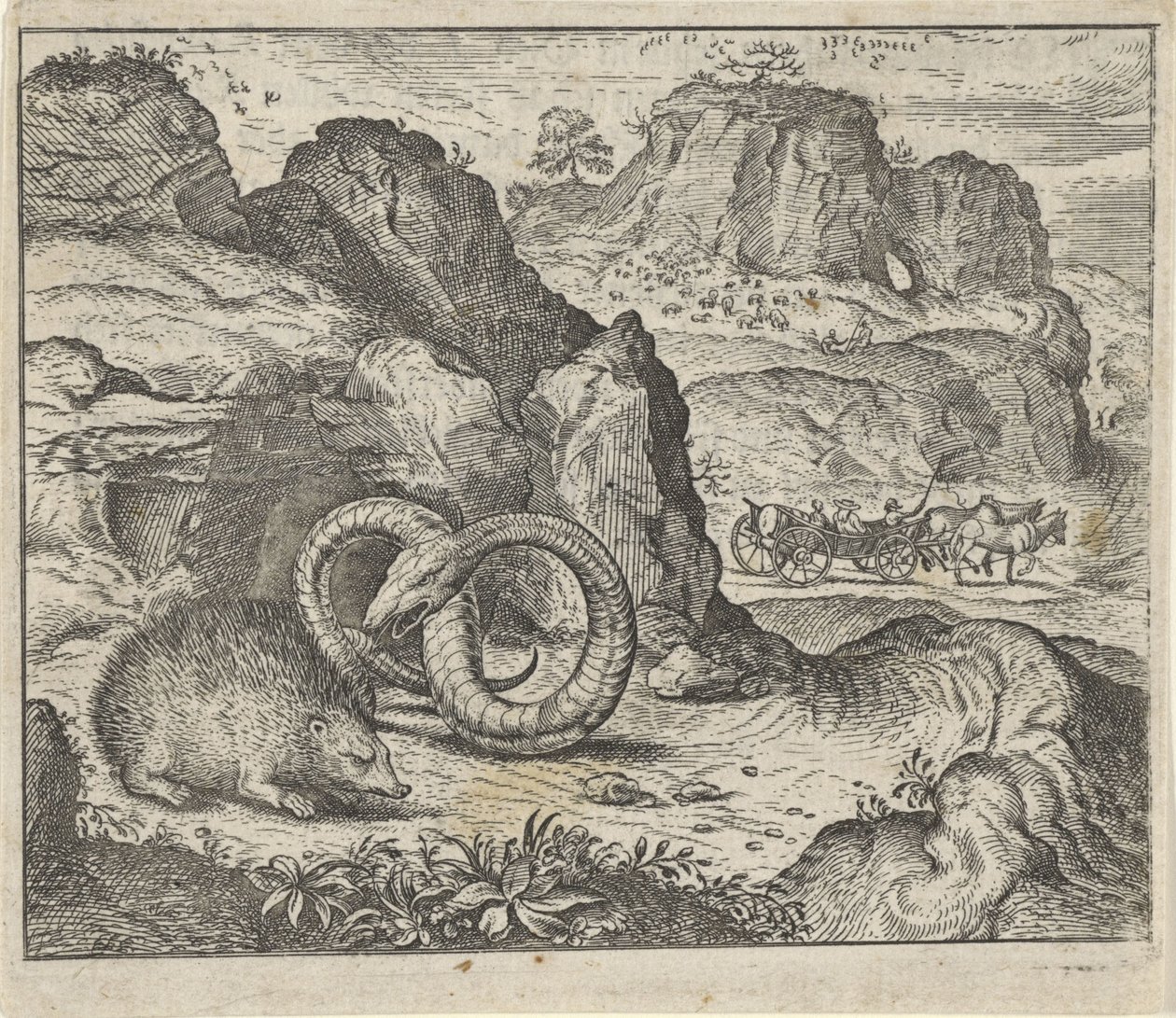 Fábula del erizo y la serpiente de Egidius  Sadeler (II)