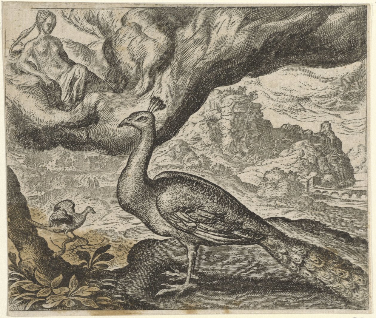Fábula del pavo real y el ruiseñor de Egidius  Sadeler (II)