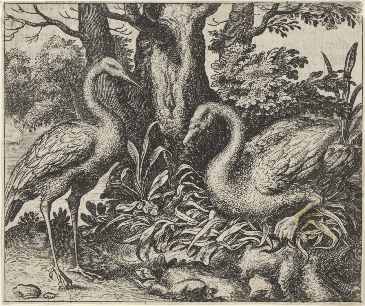 Fábula del cisne y la cigüeña de Egidius  Sadeler (II)