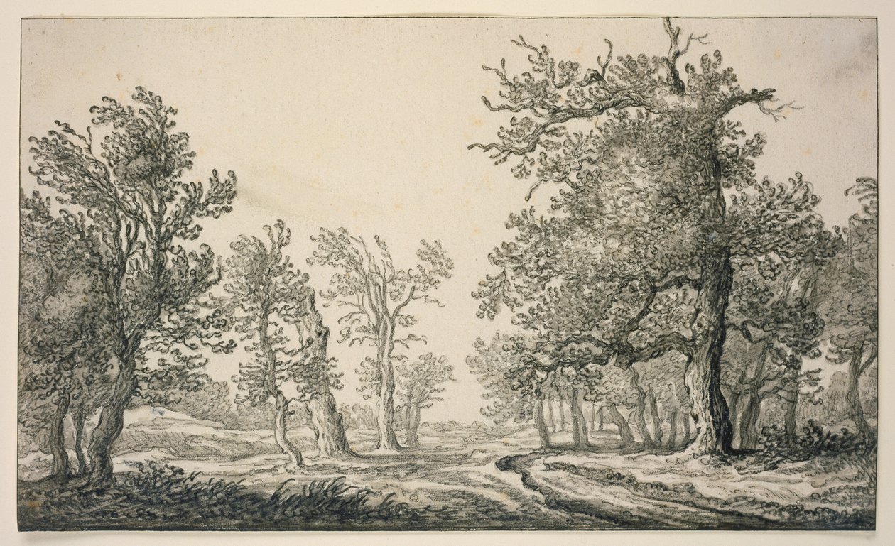 Sendero a través de un bosque de robles de Aelbert Cuyp