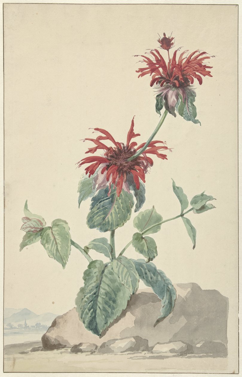 Una bergamota roja en un paisaje de Aert Schouman (circle of)