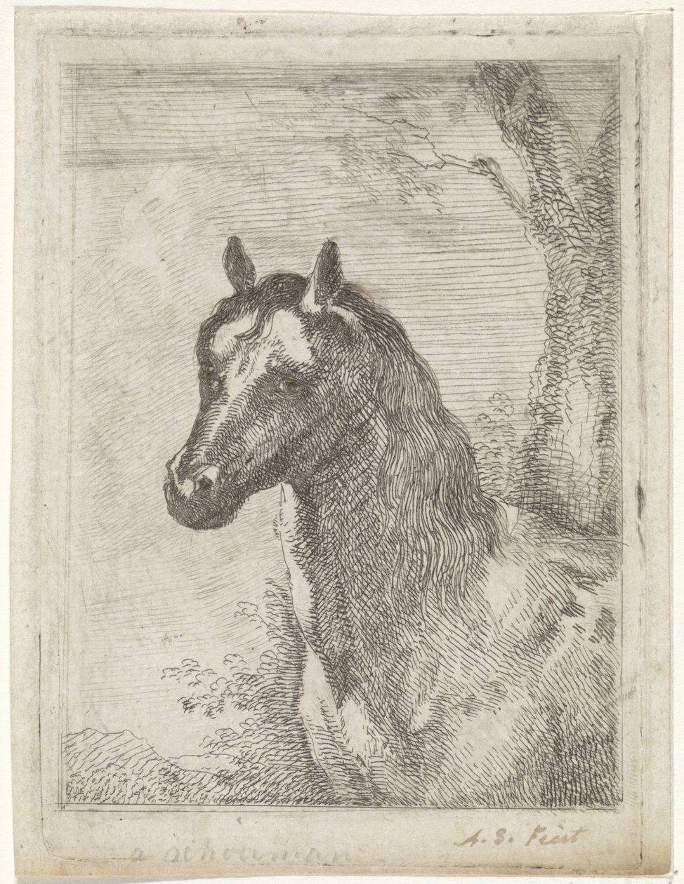 Cabeza de caballo de Aert Schouman (signed by artist)
