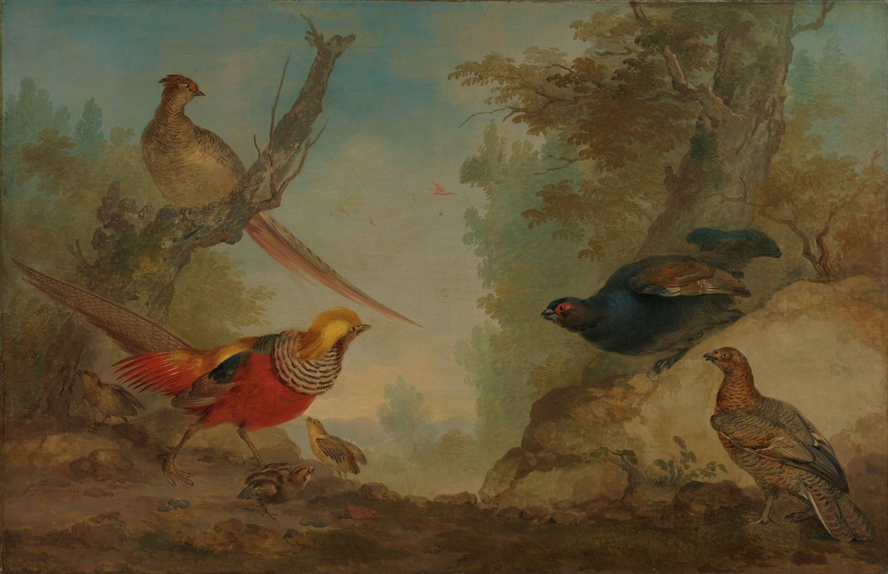 Faisanes de Aert Schouman