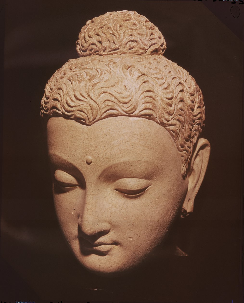Cabeza de Buda, estilo greco-budista, de Hadda de Afghan School