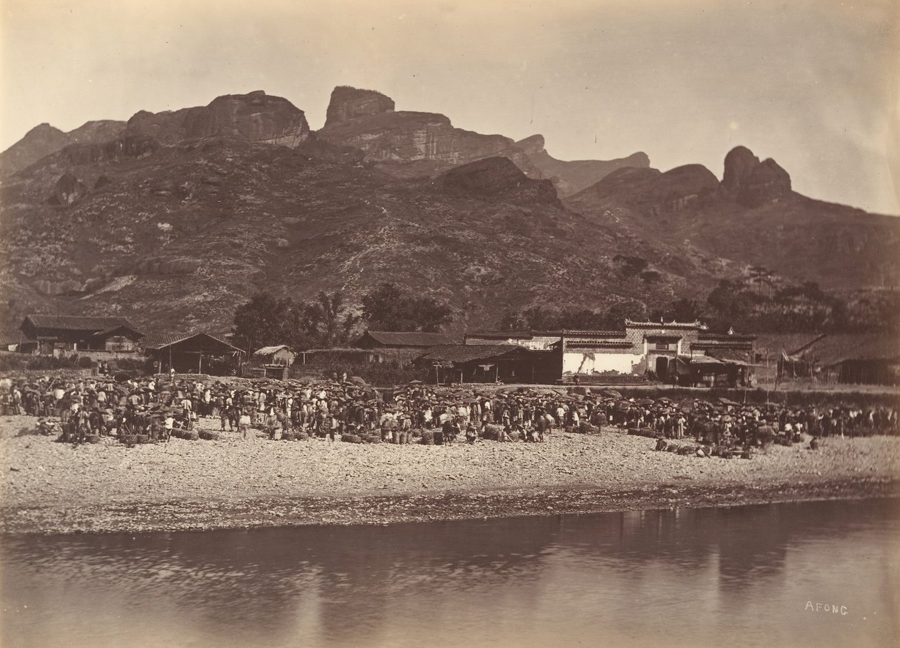 Mercado de patos, ca. 1869 de Afong Lai