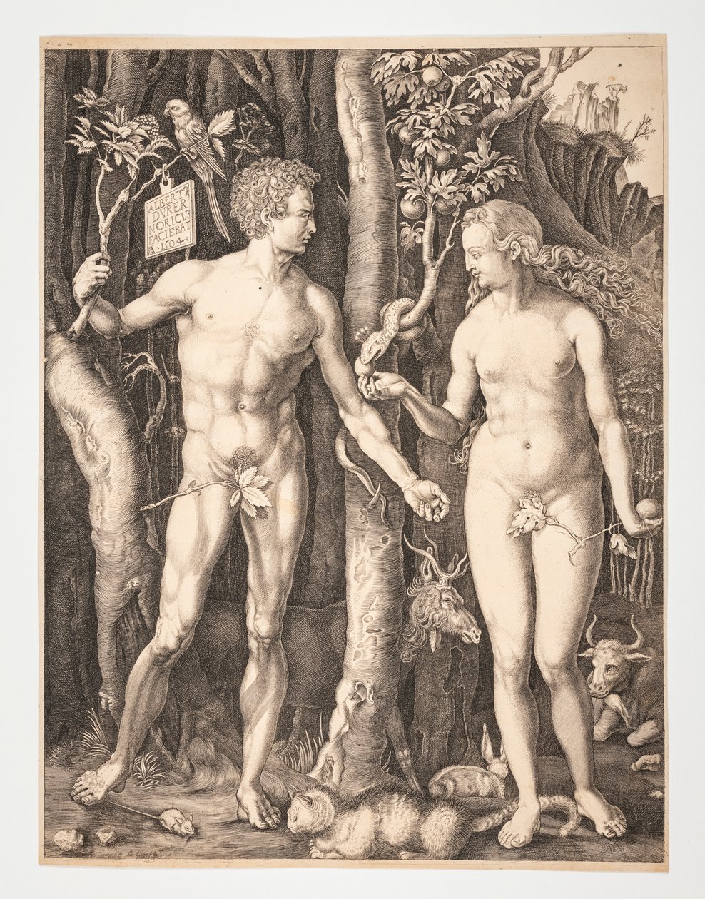 Adán y Eva en el Jardín del Edén - Albrecht Durer - 20-1932-109 de After Albrecht Dürer