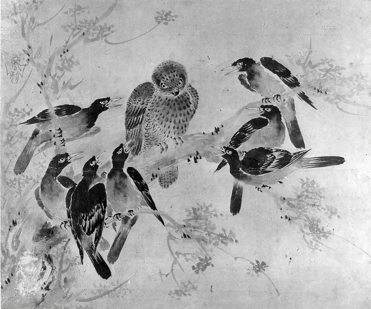 Aves Mynah atacando a un búho, probablemente siglo XIX de after Sesson Shūkei