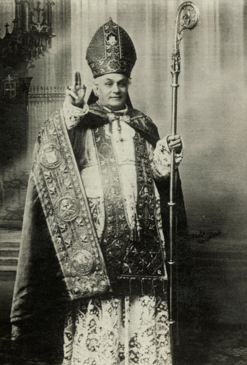 Retrato del cardenal Louis Lucon (foto) de Agence Meurisse