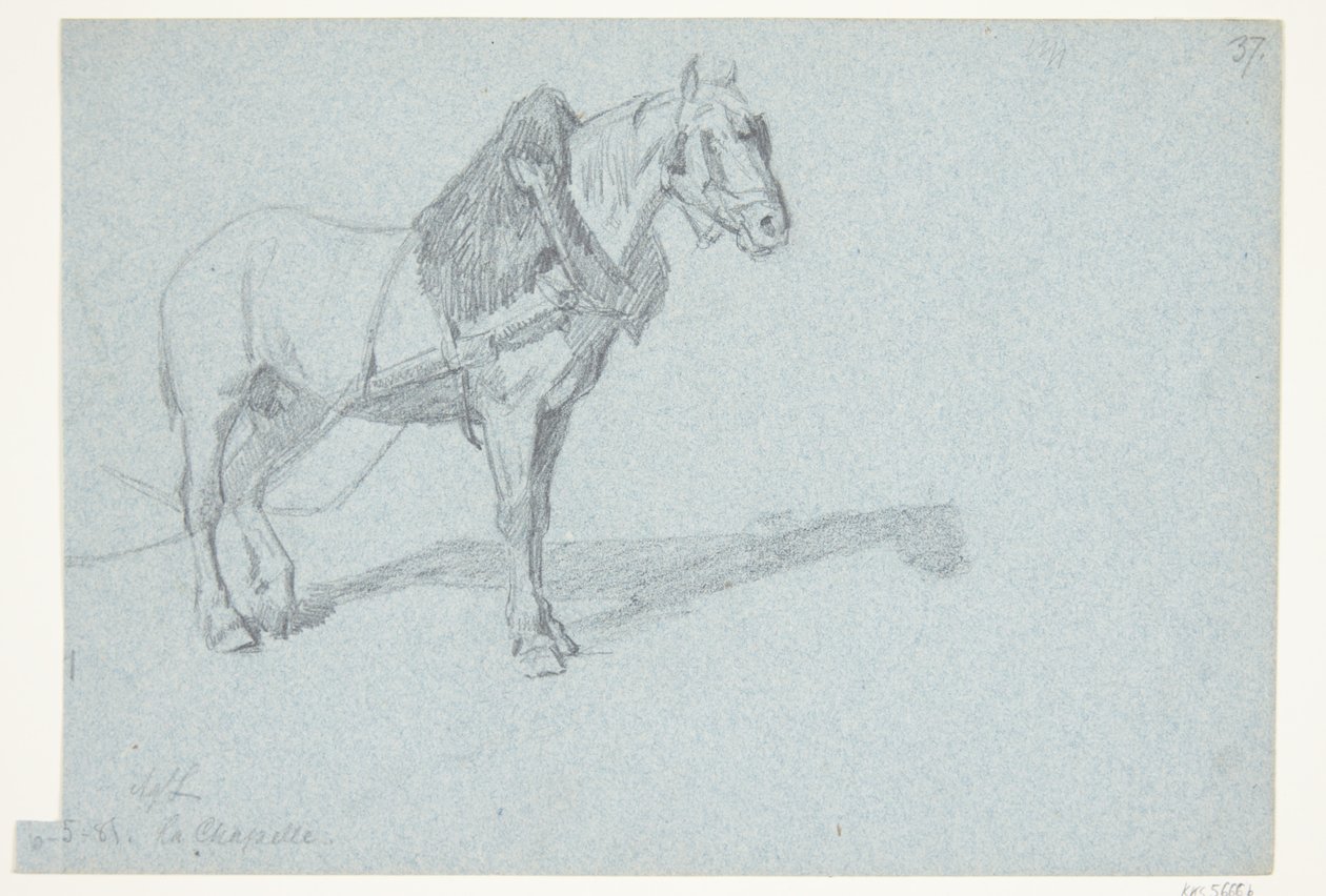 En hest de Agnes Lunn