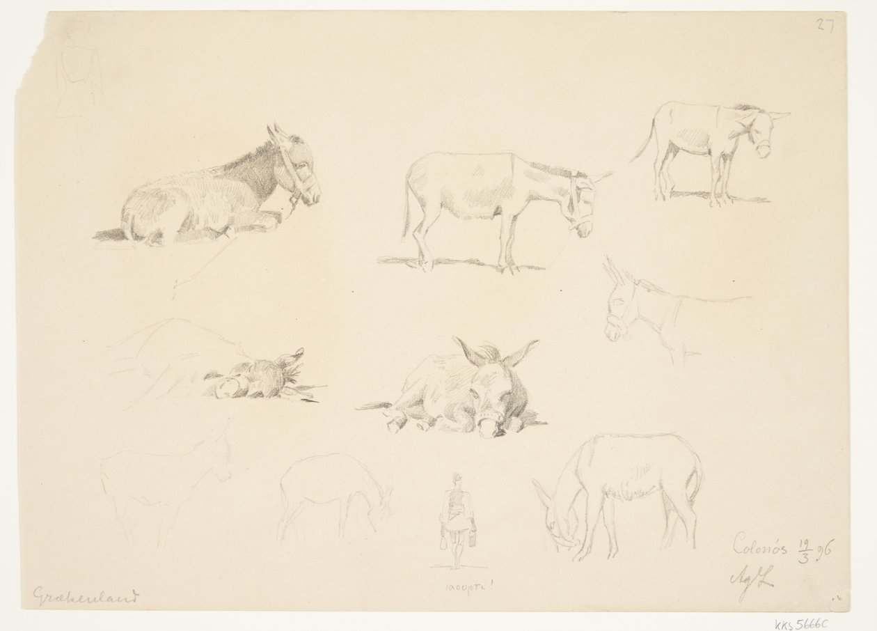 Hoja de estudio con animales de Agnes Lunn