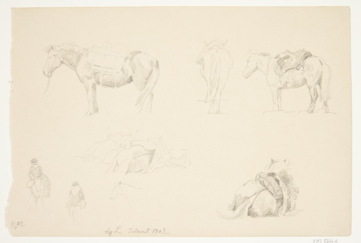 Estudio de caballos de Agnes Lunn