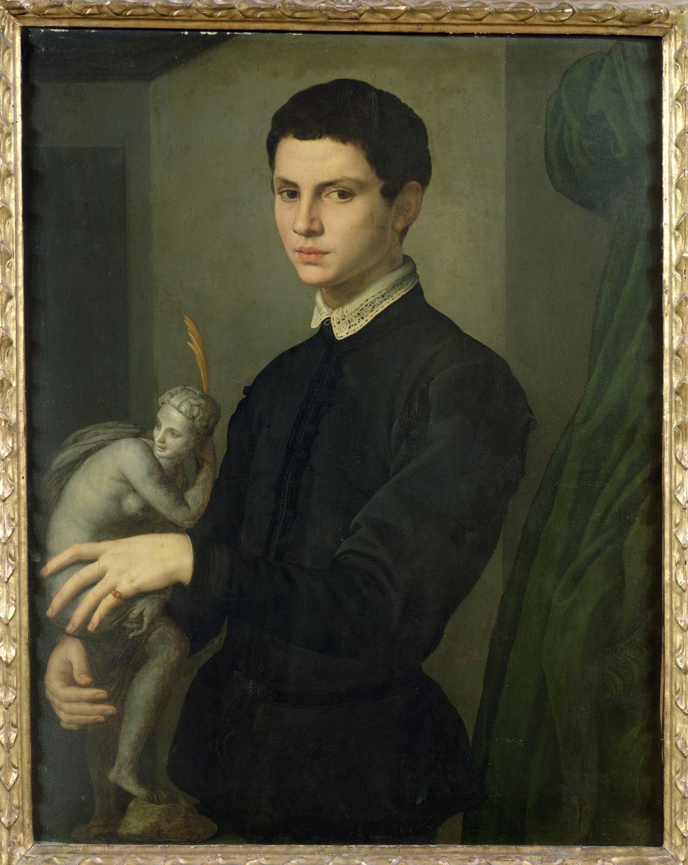 Retrato de un Escultor, posiblemente Baccio Bandinelli de Agnolo Bronzino